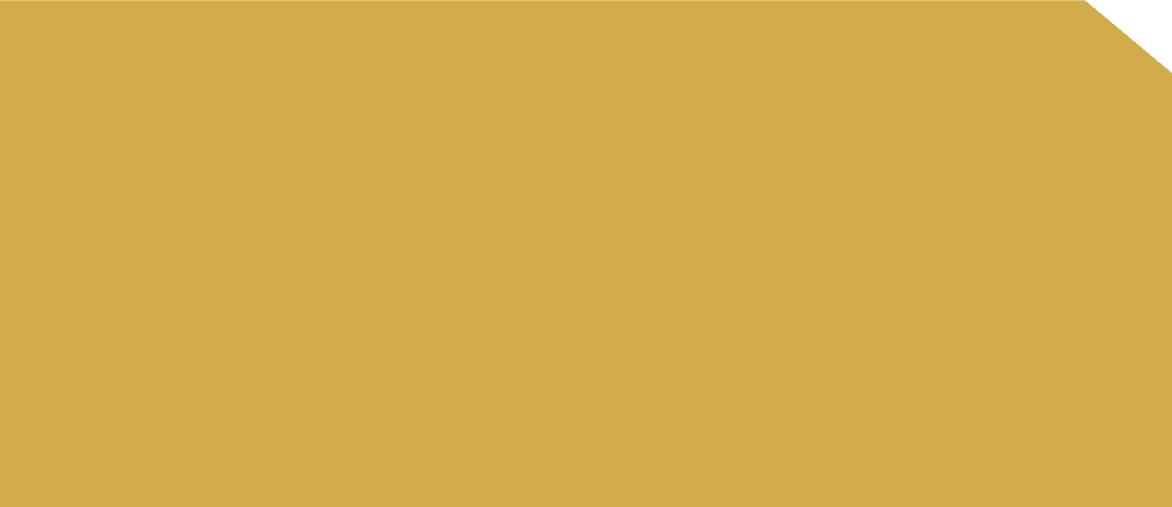 DMA 2866 - EDL HPL 4'x8' | ROSE GOLD MIRROR