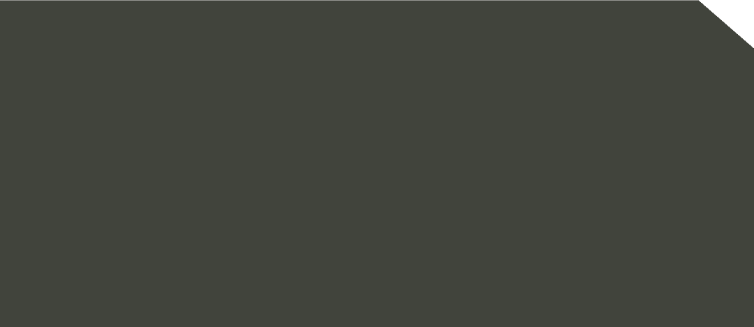 L-FA 0370AP - EDL HPL 1300x2800 | APTICO WALD GRUN